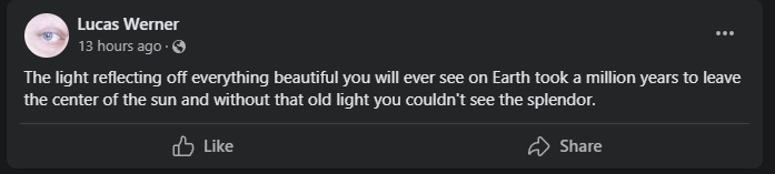 wernlight.jpg