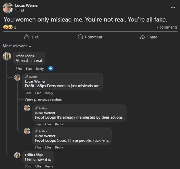 wernmislead.webp