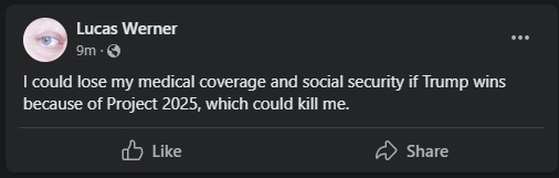 wernss.jpg