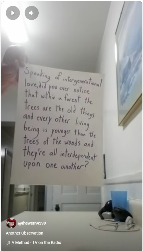 werntrees.jpg