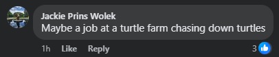 wernturt.jpg