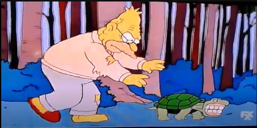 wernturtle2.jpg