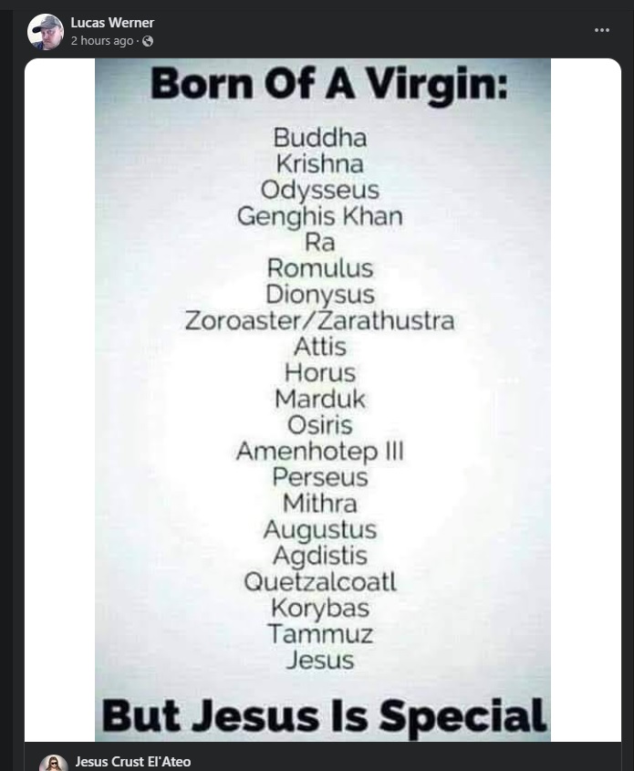 wernvirgin.jpg