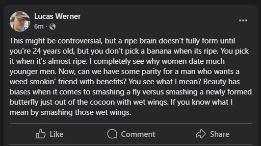 wernwetwings.webp