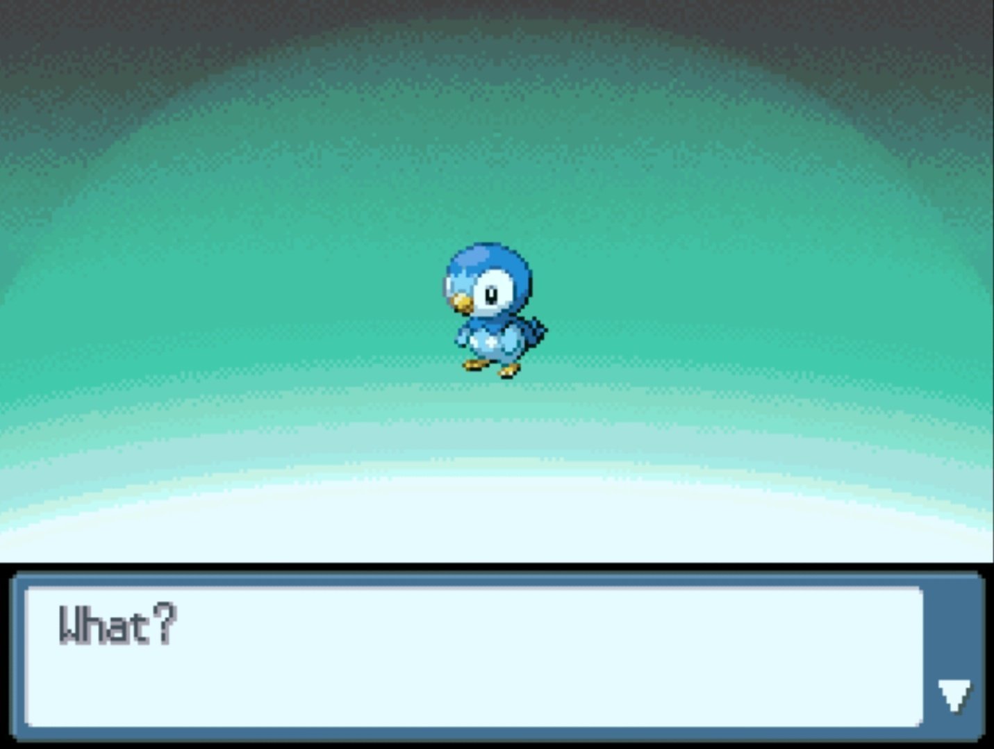 What.jpg