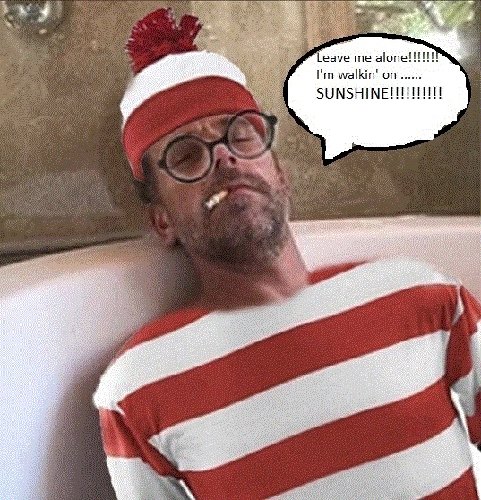 whereswaldo.jpg