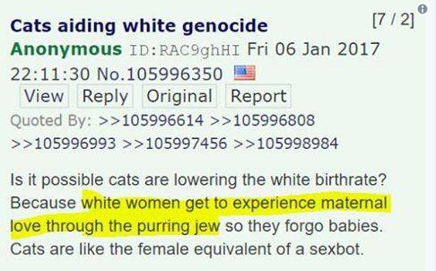whitegenocide.PNG