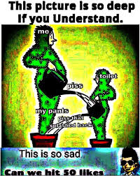 why.jpg