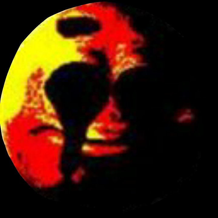 why.jpg
