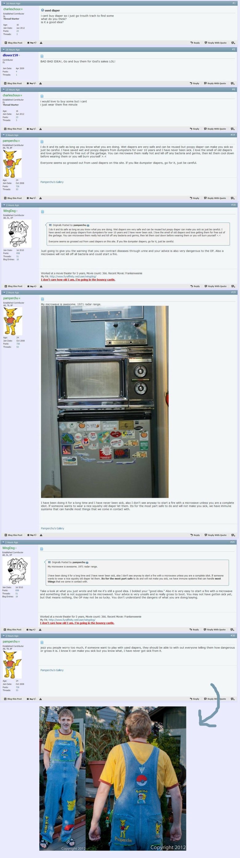 why1.jpg
