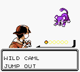 wild caml.PNG