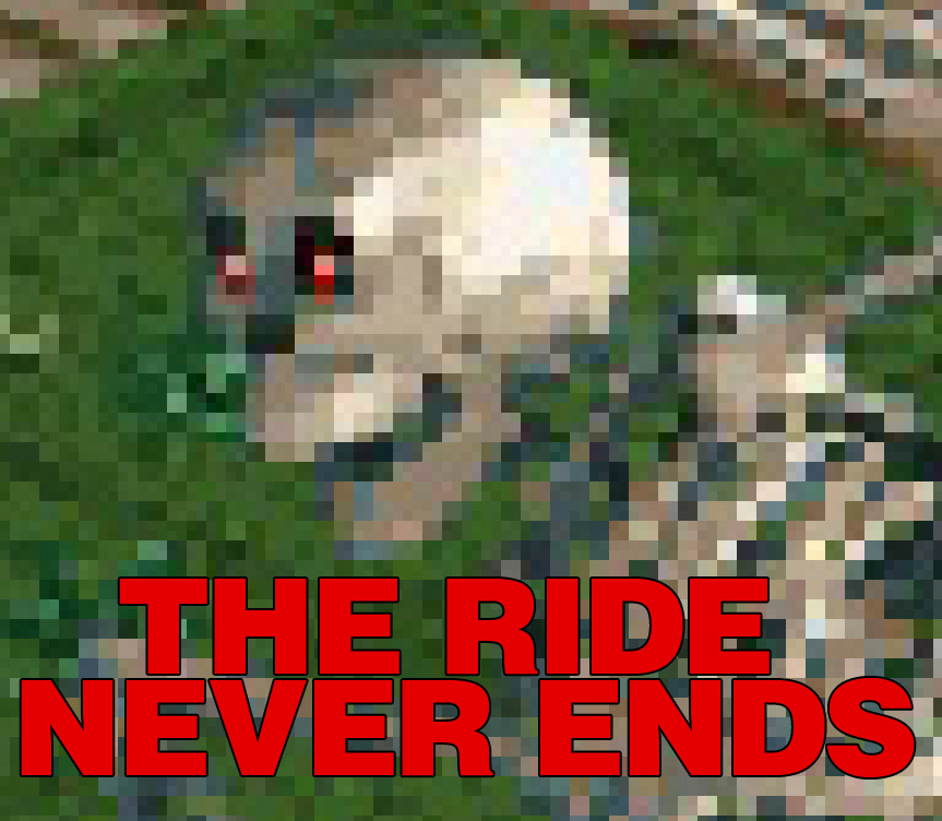 wildride.jpg