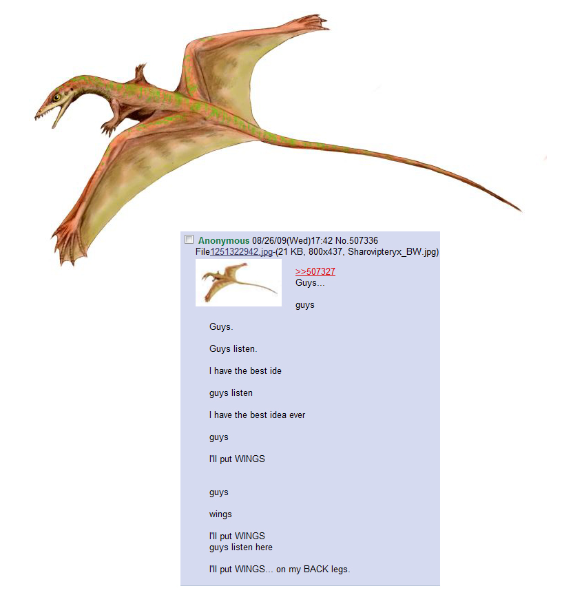 wings.jpg