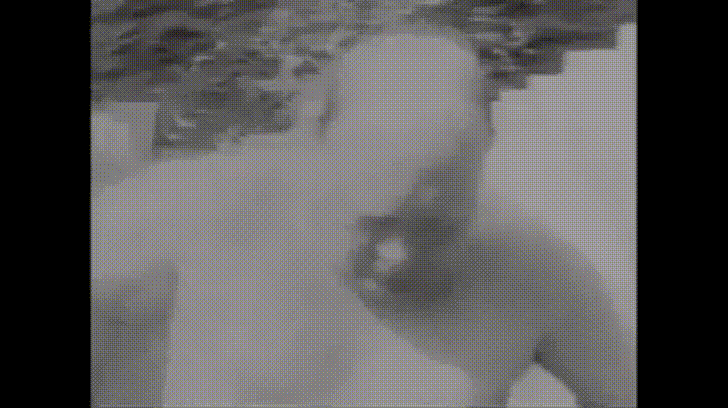 winston.gif