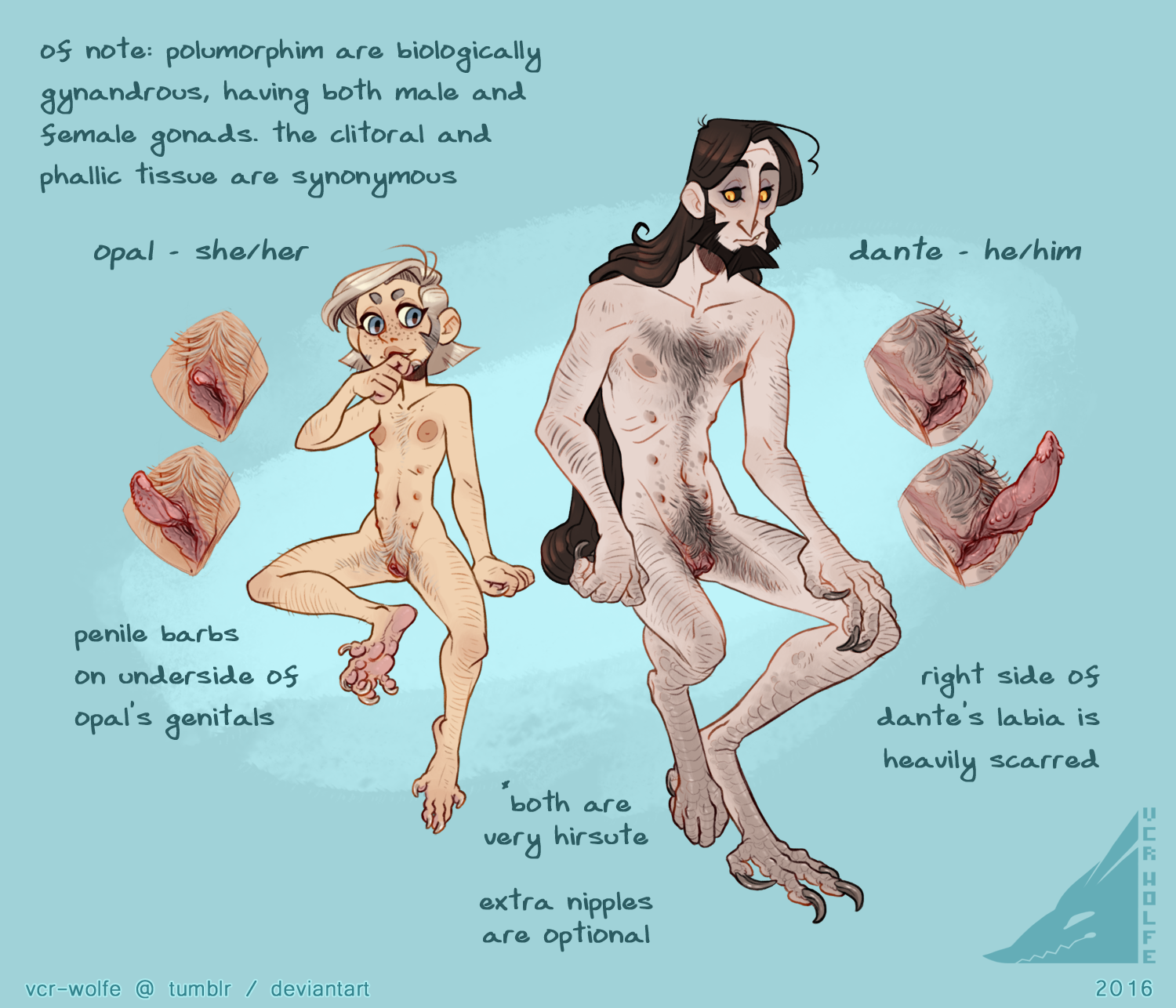 wolfe4.png