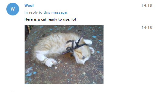 woof_BBB_cat.png