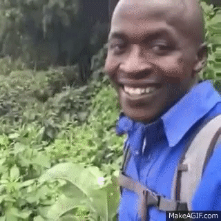 wqOEv1.gif