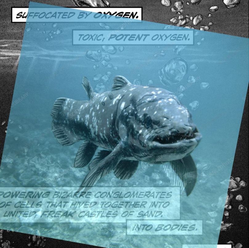 wqreqrwe2.png