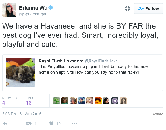 wu_havanese.png