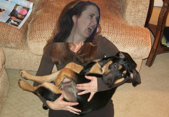 wudog.jpg