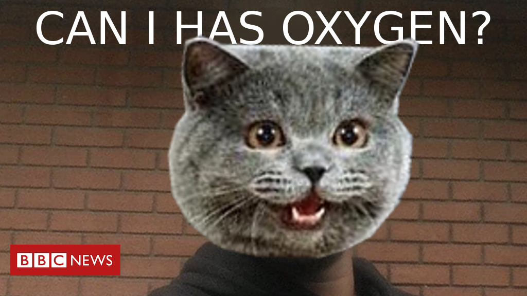 X.png
