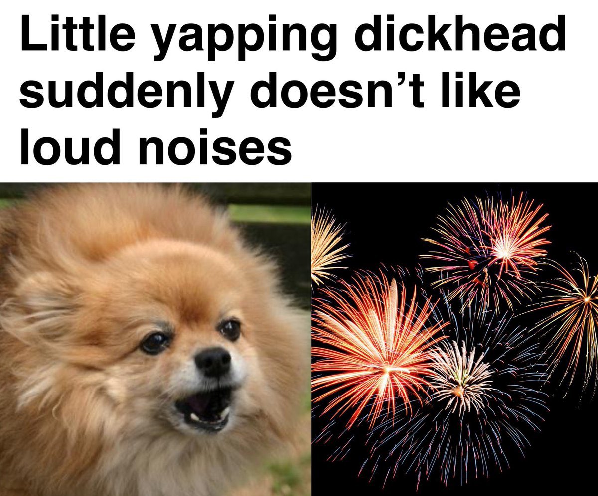 yapper.jpg