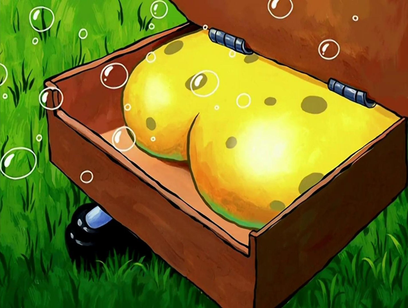 Yellow_Butt.jpg