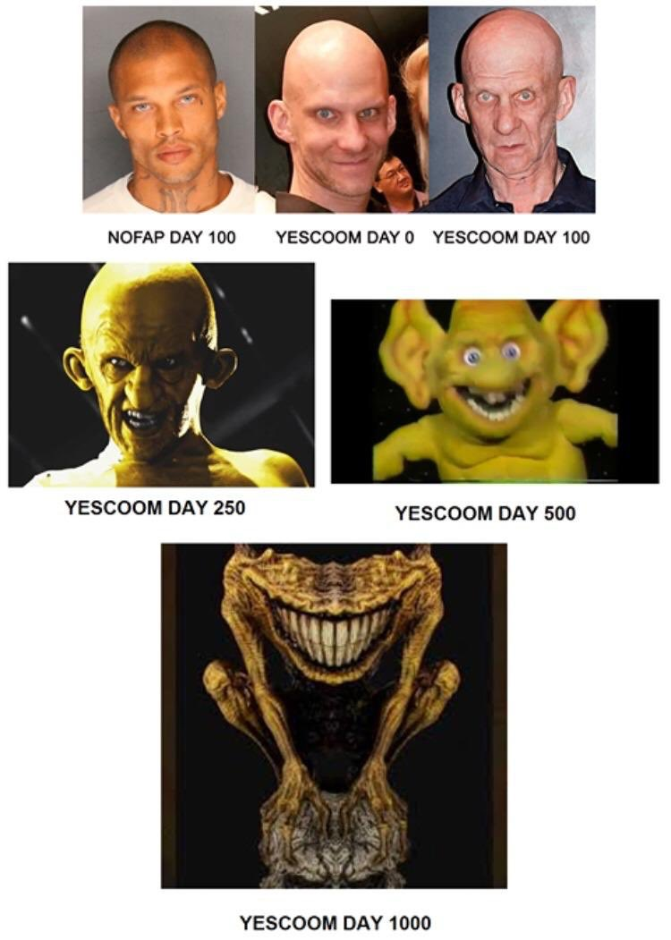 yes coom.png