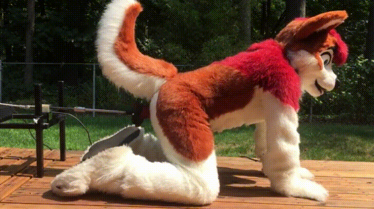 yiffmachine.gif