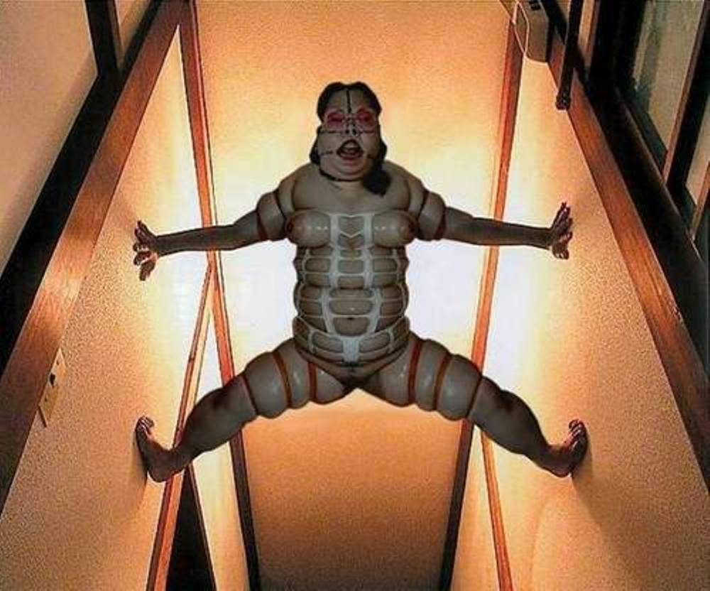 zCursedWTF.jpg