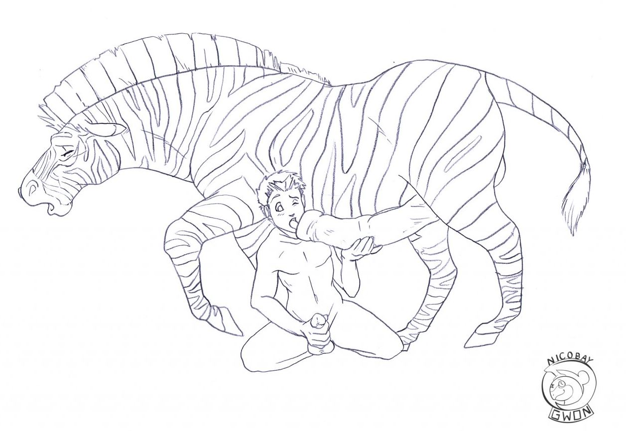 zebra.JPG