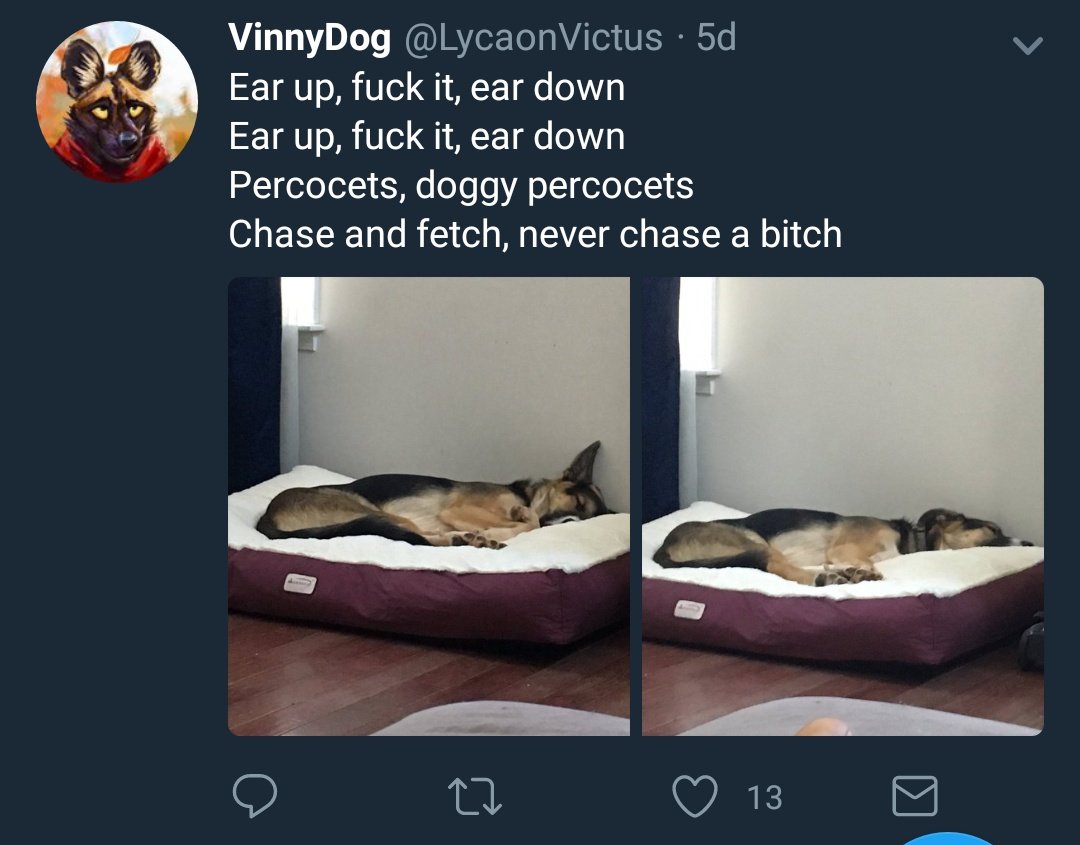zoo4.jpg