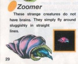 zoomer.jpg