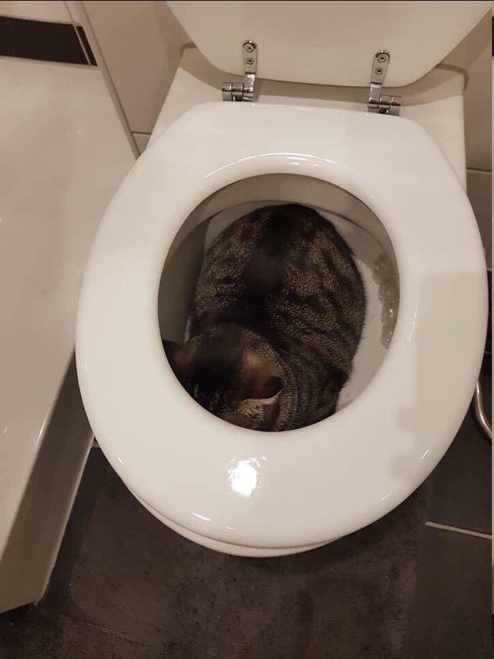 er8VqvK.jpg