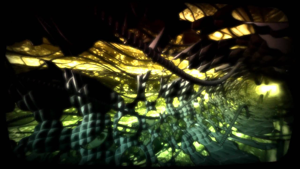 www.youtube.com