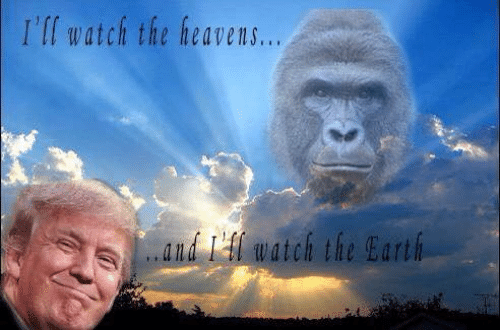 fgQNtS9.png