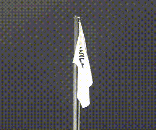 nsmd8mlpujky.gif