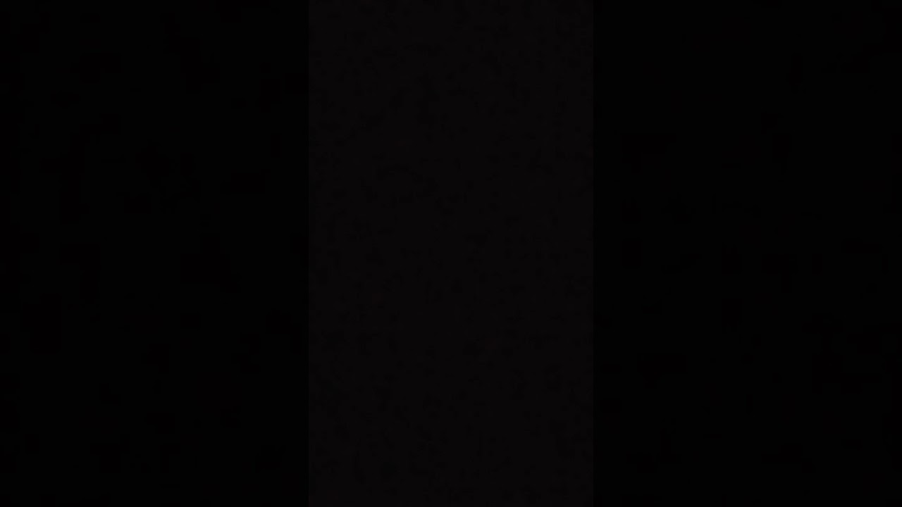 www.youtube.com