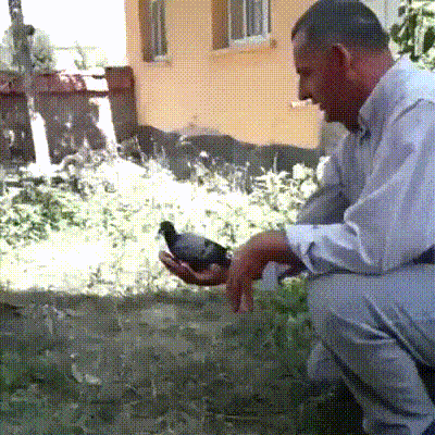 1549771879476.gif
