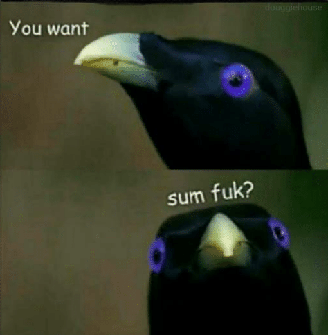 j17pDrf.png