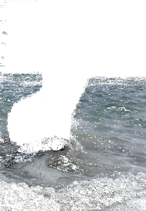 15a2.gif