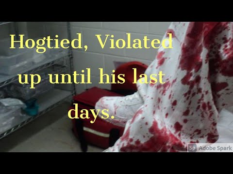 www.youtube.com