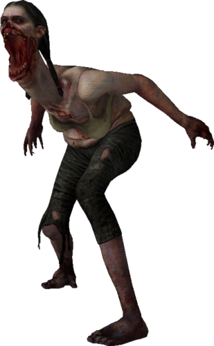 BuBoGiI.png