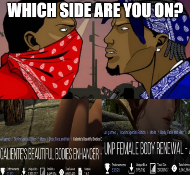 Which one is the best booba mod?: SkyrimMemes
