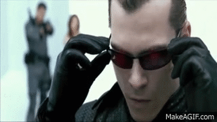 OptimisticChubbyEuropeanpolecat-size_restricted.gif