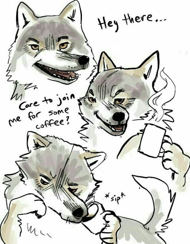 RqdVjru.jpg