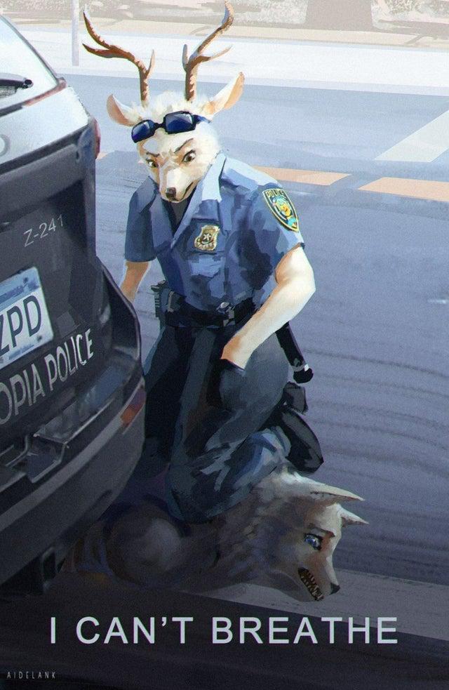 iO8N.jpg