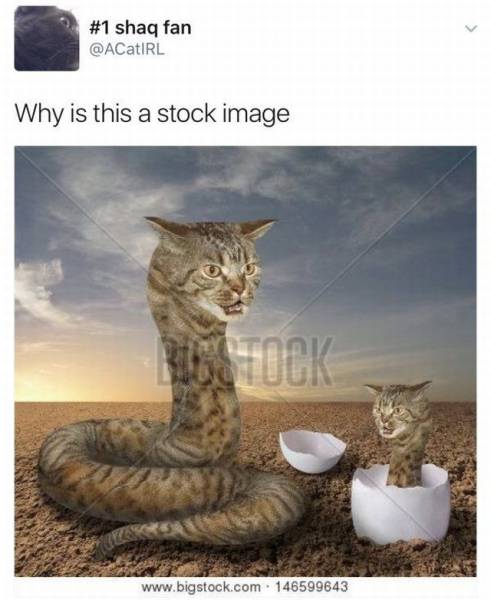 WVDA2tl.jpg