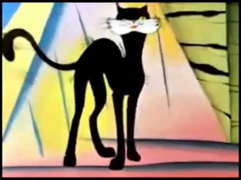 www.youtube.com