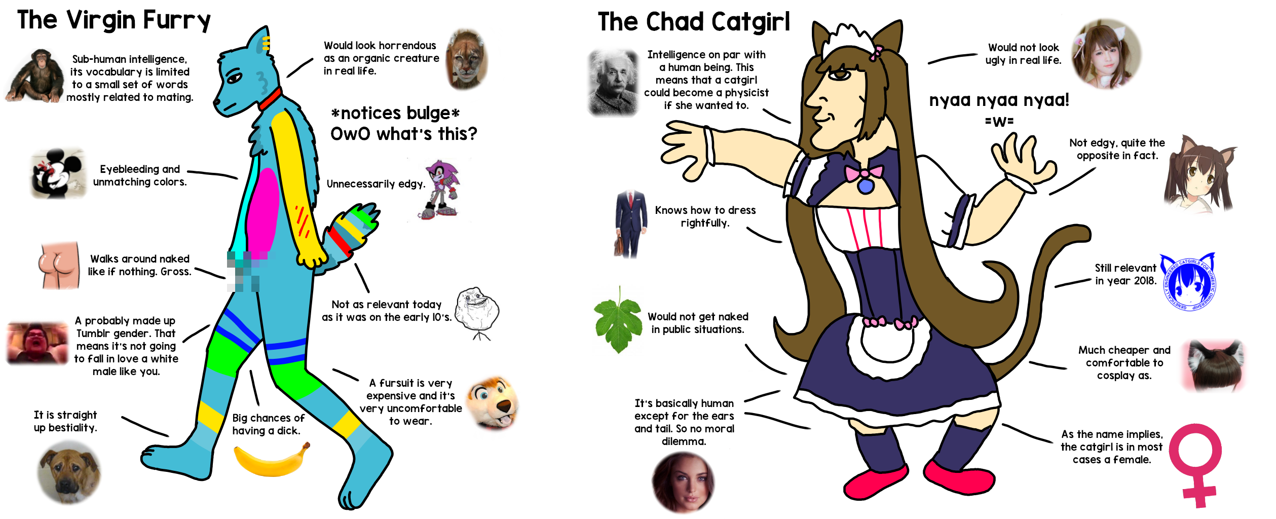 qi8ed504tvi11.png
